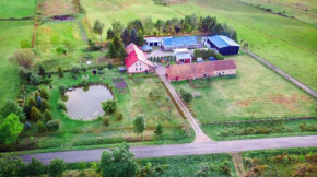 Agroturystyka nad stawem